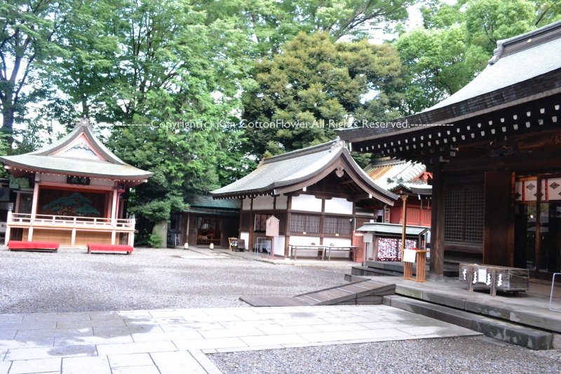 川越氷川神社